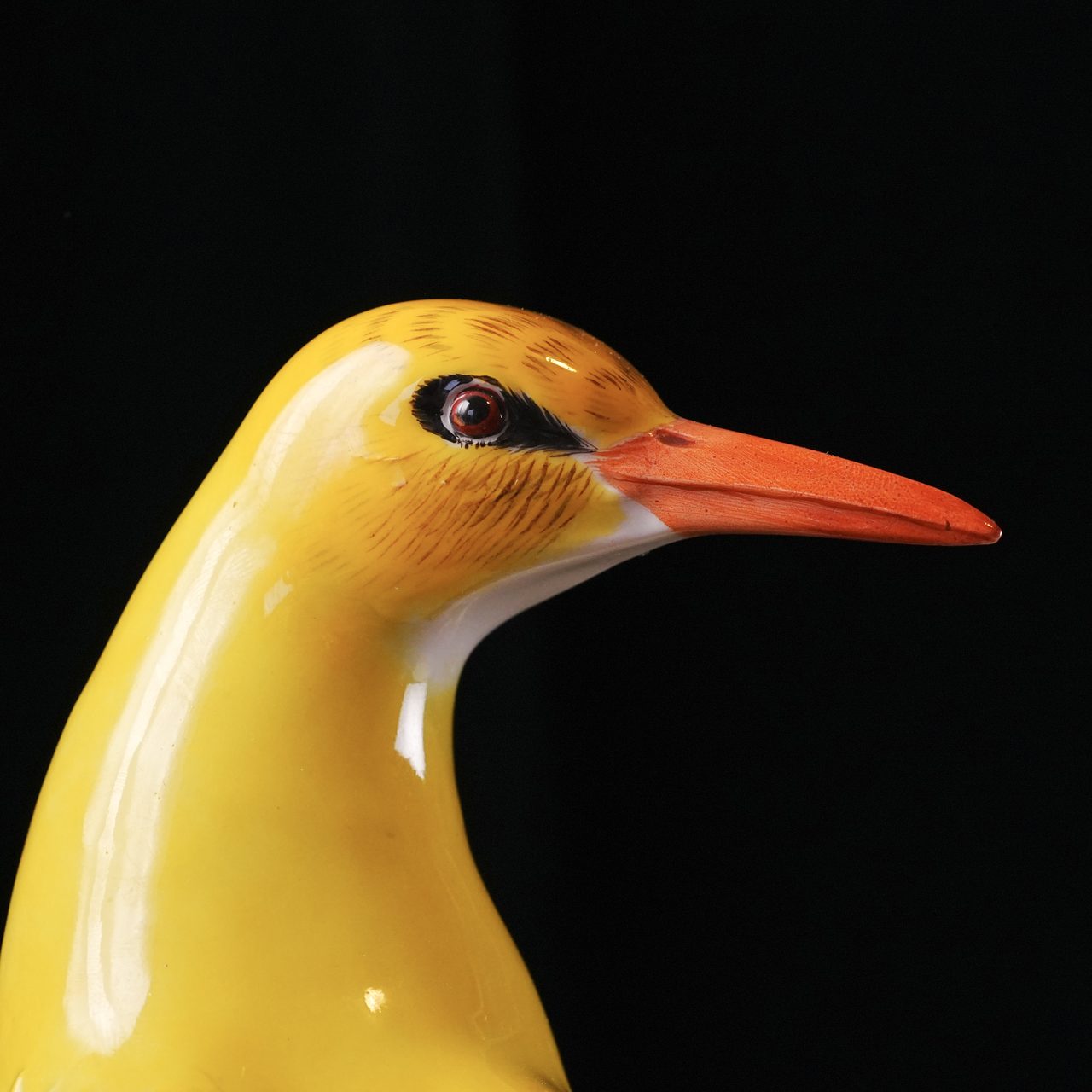 Close detail of the Meissen Golden Oriole's head — glossy yellow plumage, a set red eye and an orange-red beak